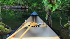 Keep Your Dog Safe While Paddling