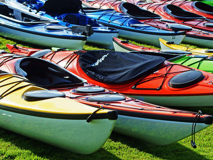 What Kayak Is Best for Me?